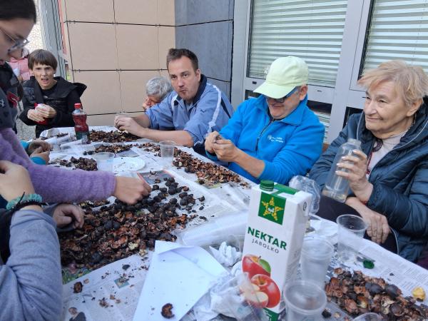 Kostanjev piknik v jesenskem soncu 