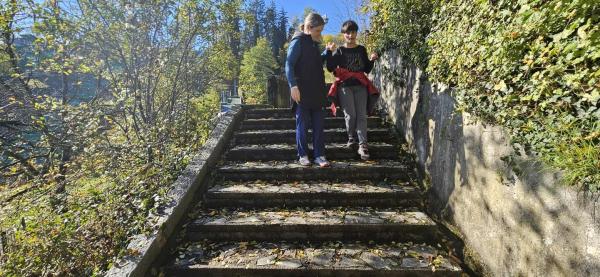 Sončno jutro in vzpon na Velenjski grad