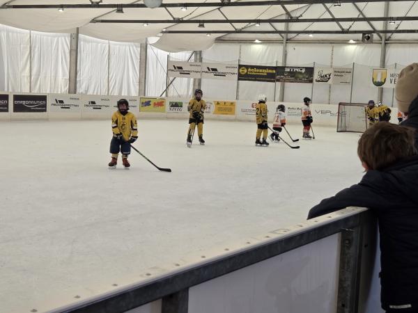 Peka mišk in ogled hokejske tekme