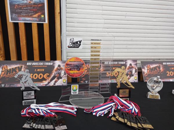 Ogled hokejskega turnirja