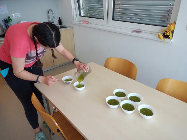 Domači sladoled, kitke in medalja