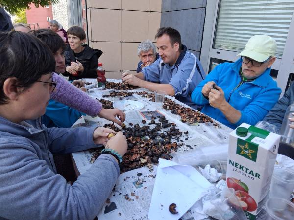 Kostanjev piknik v jesenskem soncu 