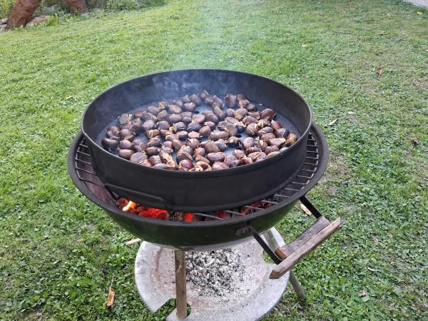 Kostanjev piknik v jesenskem soncu 