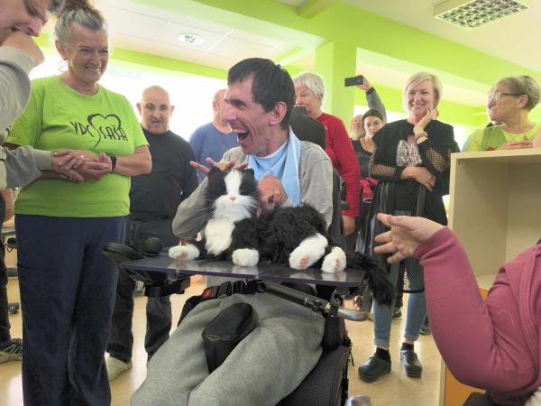 Robotska terapevtska mačka kot podpora uporabnikom