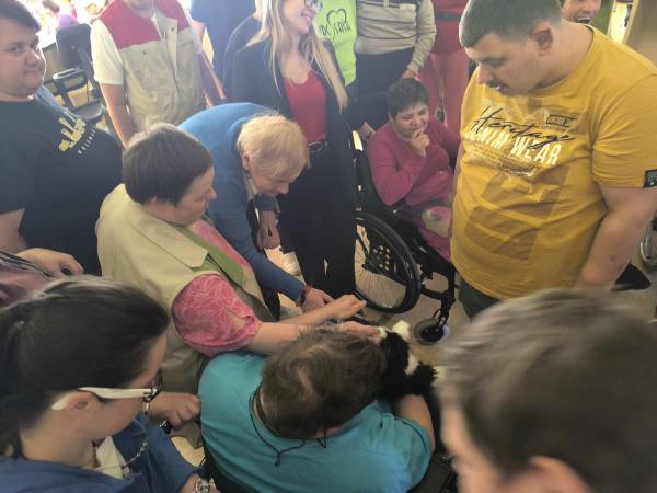 Robotska terapevtska mačka kot podpora uporabnikom