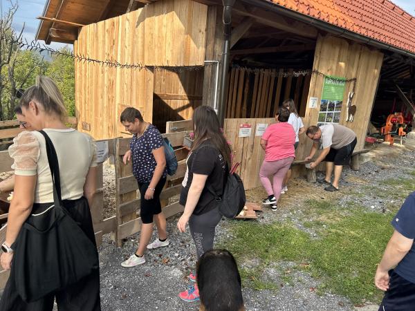 Alpakin raj – kmetija Ocepek