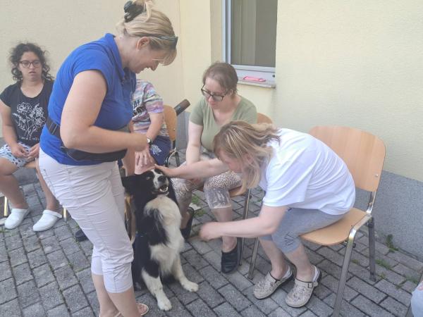 Obisk štirinožne prijateljice Lacy