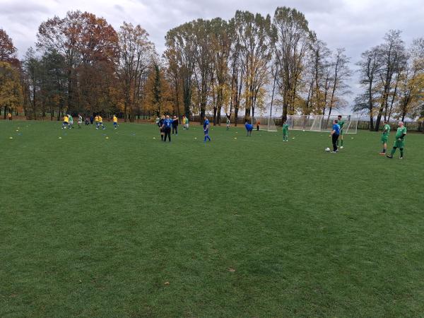 Nogometni turnir - finale Brdo pri Kranju (NZS)